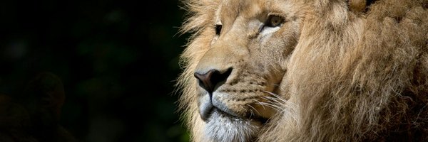 BaricKGL Profile Banner