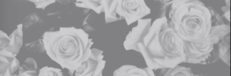iws_7's profile banner image