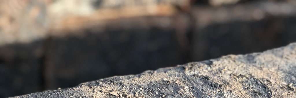 Michael Riley banner