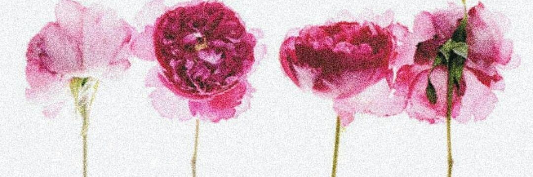 yess_ey's profile banner image