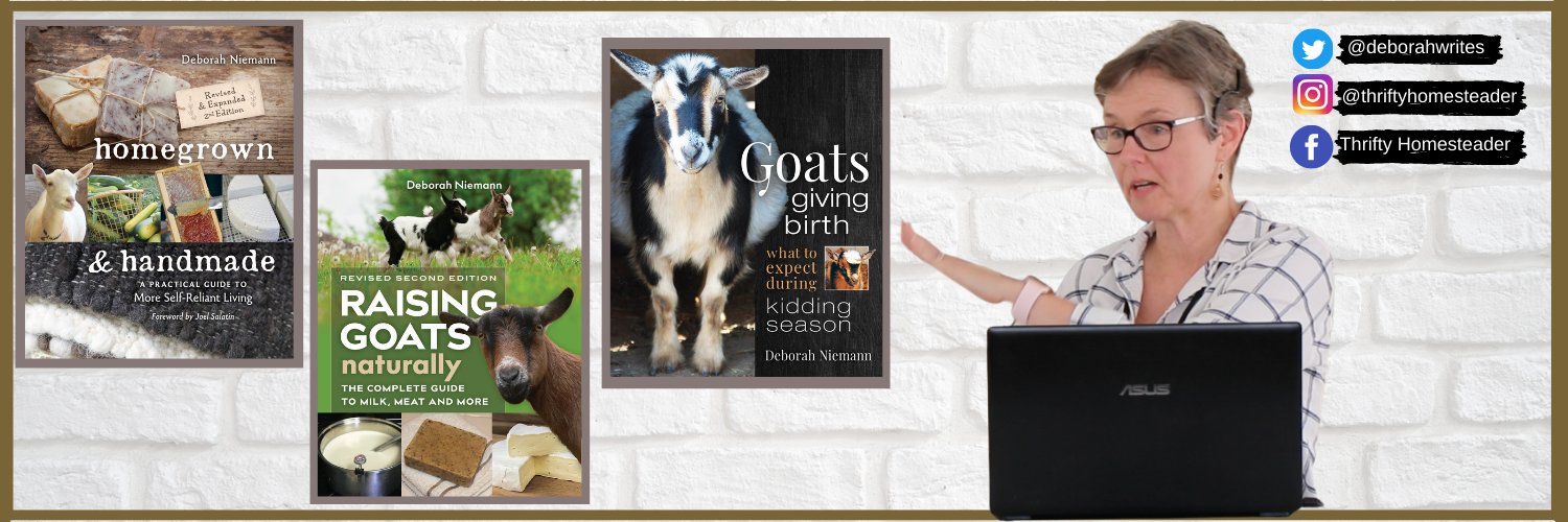 deborahwrites's profile banner image