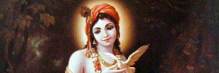 dludhra's profile banner image