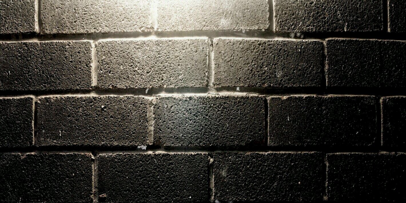 linnymari's profile banner image