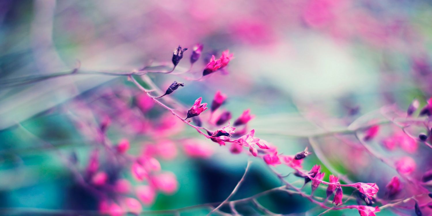 23_NouRa_'s profile banner image