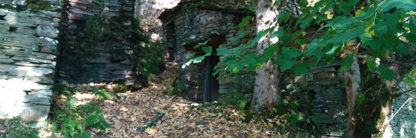 JosePernasG Profile Banner