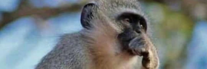 m_xolani's profile banner image