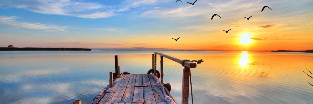 Peque_mj's profile banner image