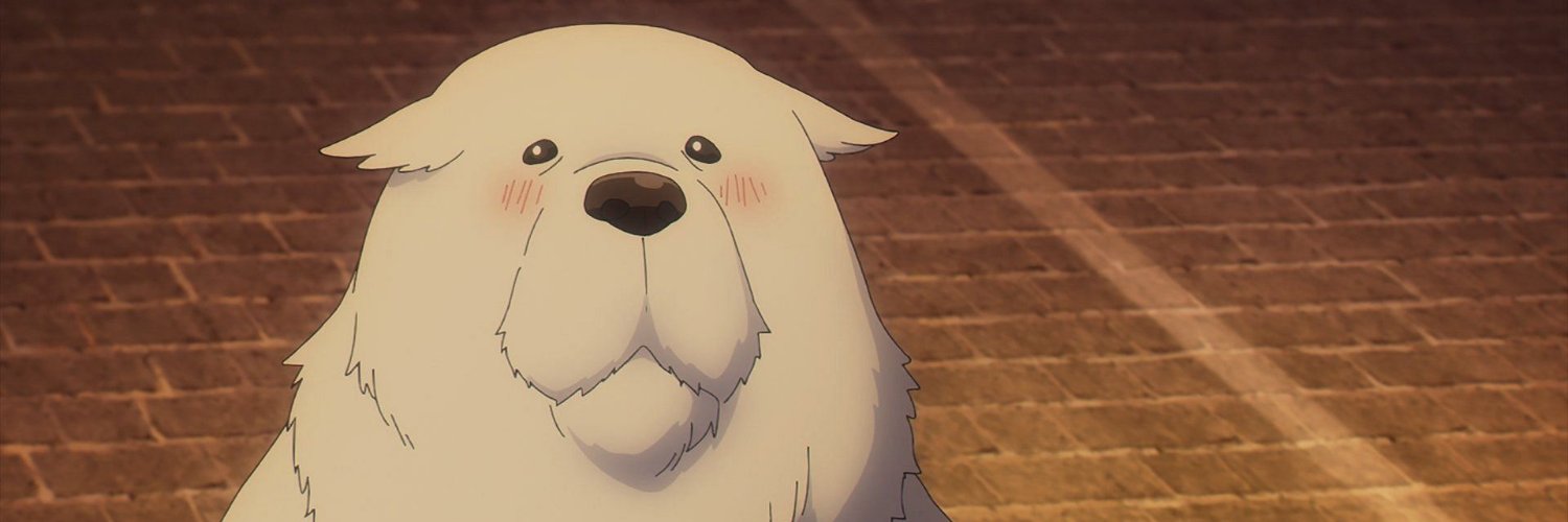 beefbtmnj's profile banner image
