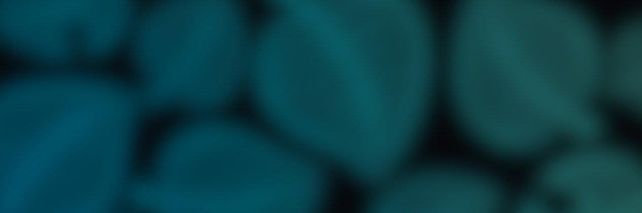majki_b's profile banner image
