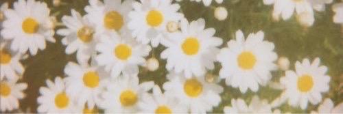 syo_zaa's profile banner image