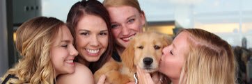 ekbakes's profile banner image