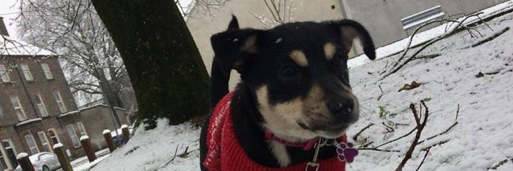 Taraa_Murphy's profile banner image