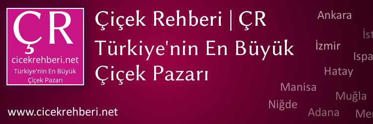 feyzabetül banner