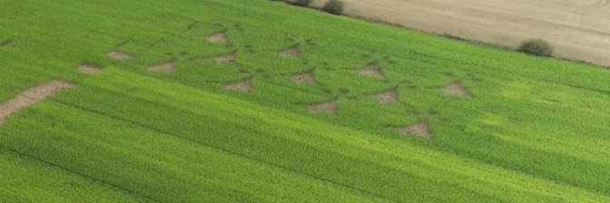 Dormion Quentin 🌱 🌽 banner