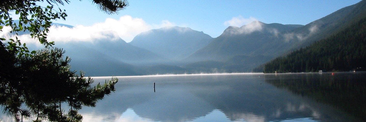 Diane F Curtis banner