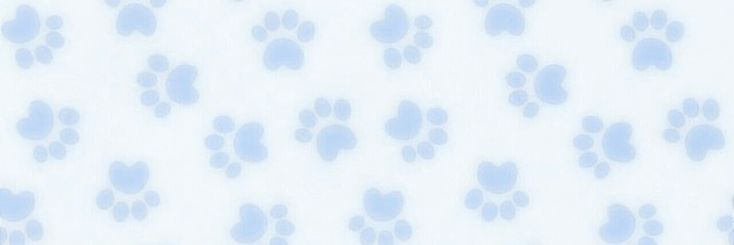 arin .ᐟ.ᐟ banner