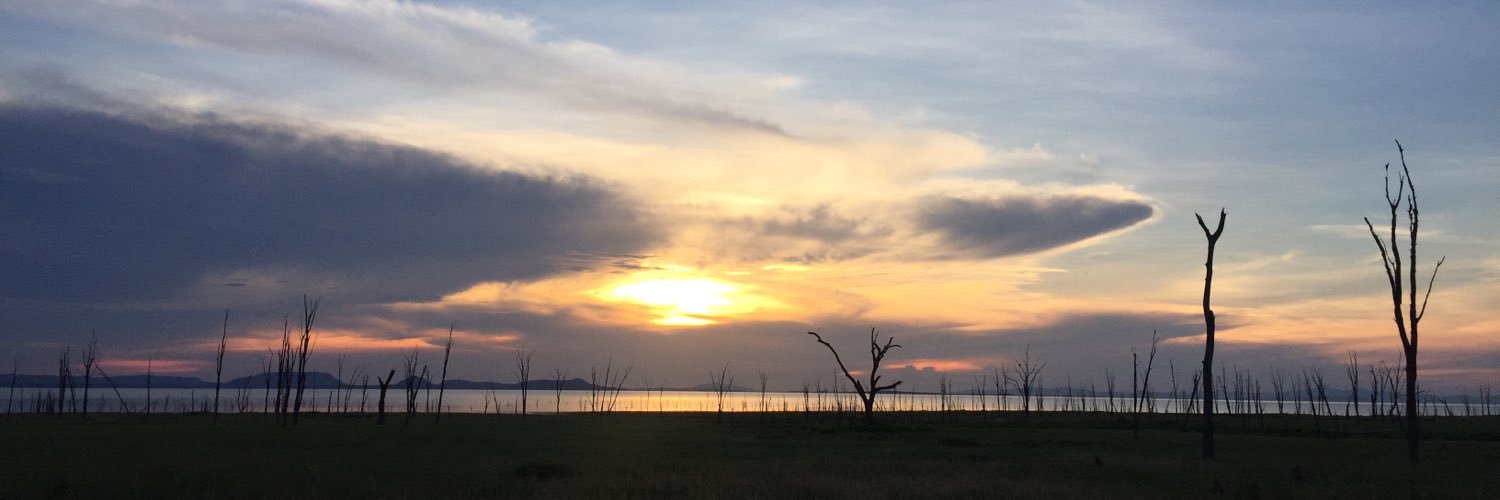 Dr. Loes Loning banner