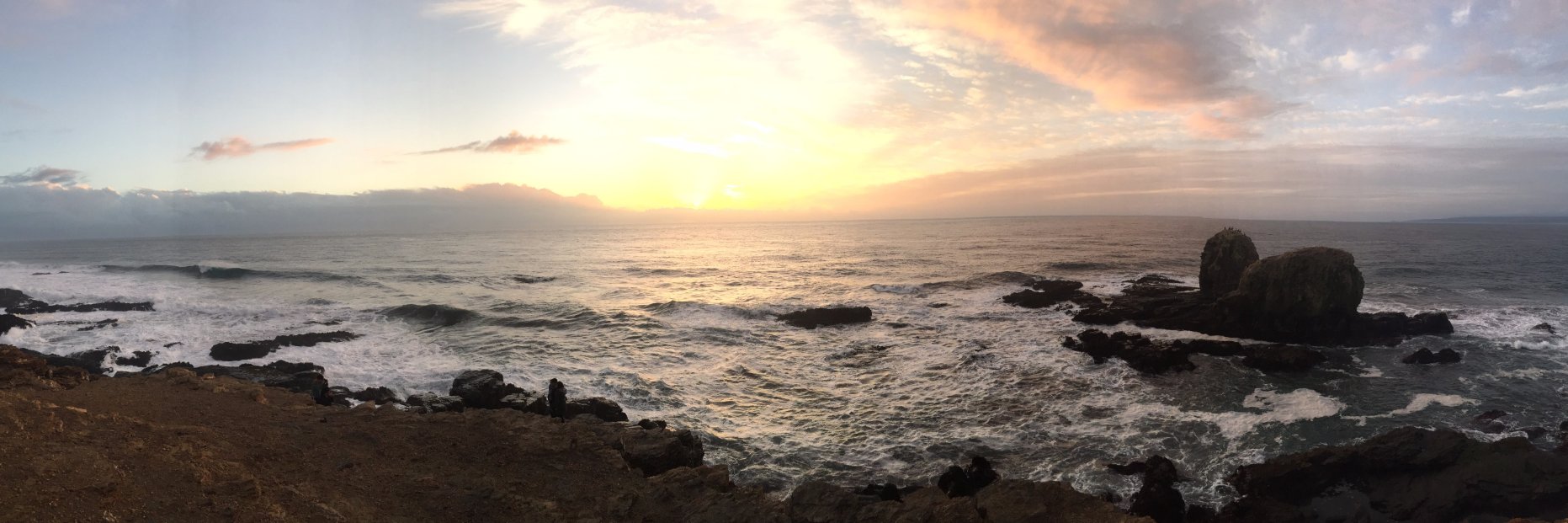 fernanda_ubeda's profile banner image