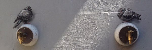 sbjorkjames Profile Banner