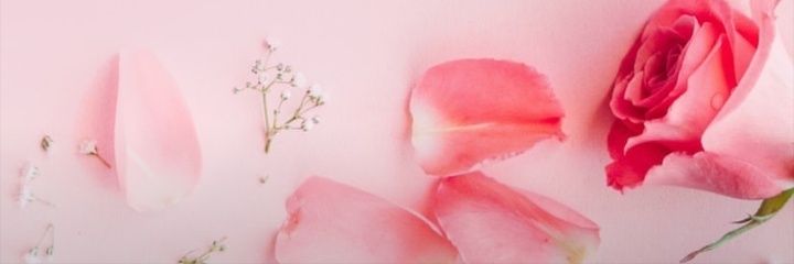 A.S.W banner