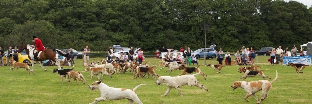 Cheshire Game Fair banner