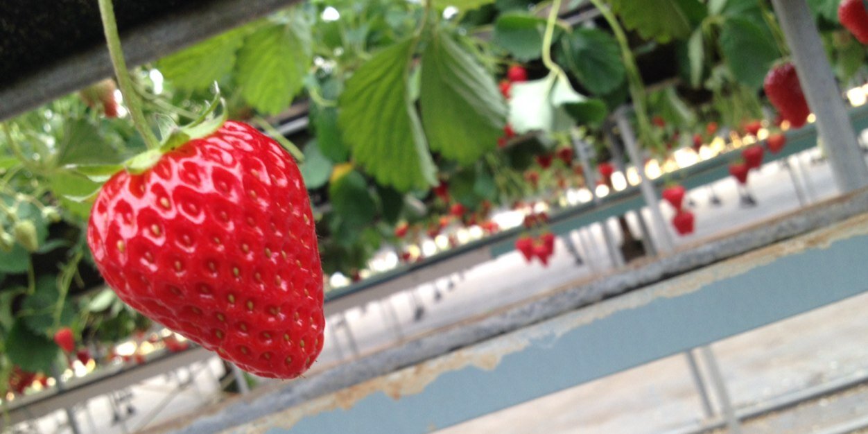 bmn_2_4's profile banner image