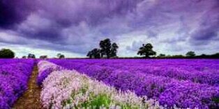 emill_art's profile banner image