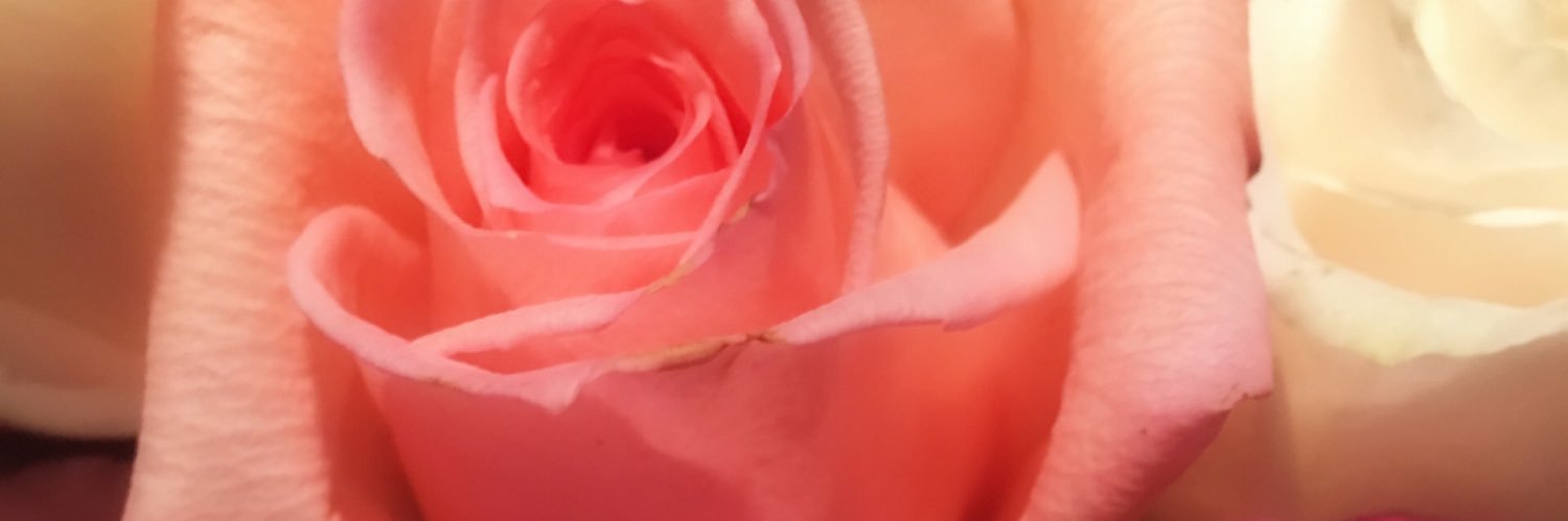 iCreole's profile banner image