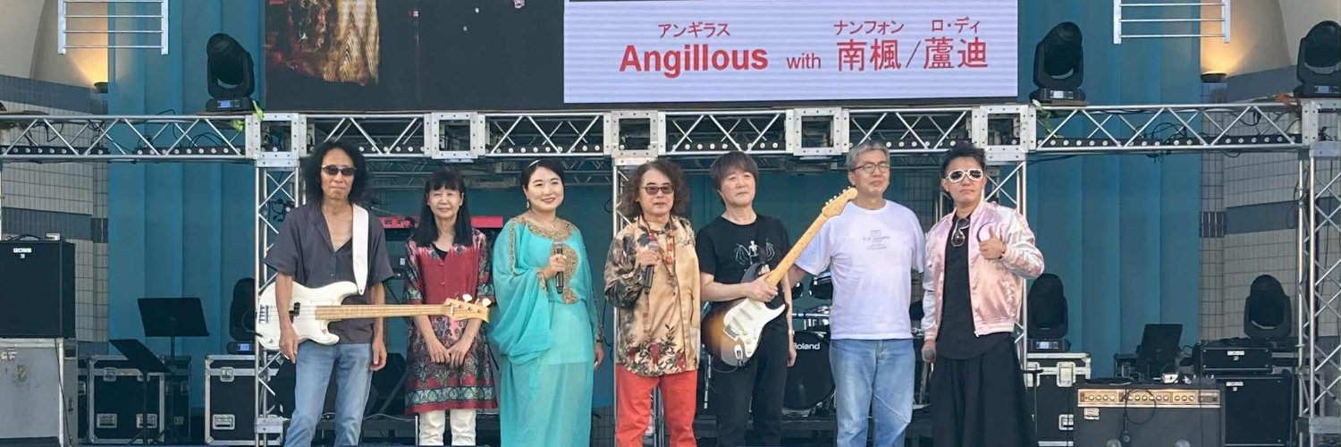 Little Turtle banner