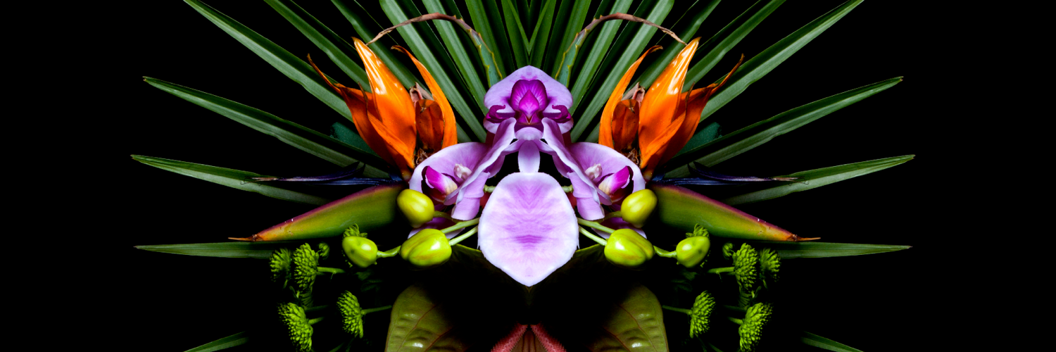 DailyBest banner