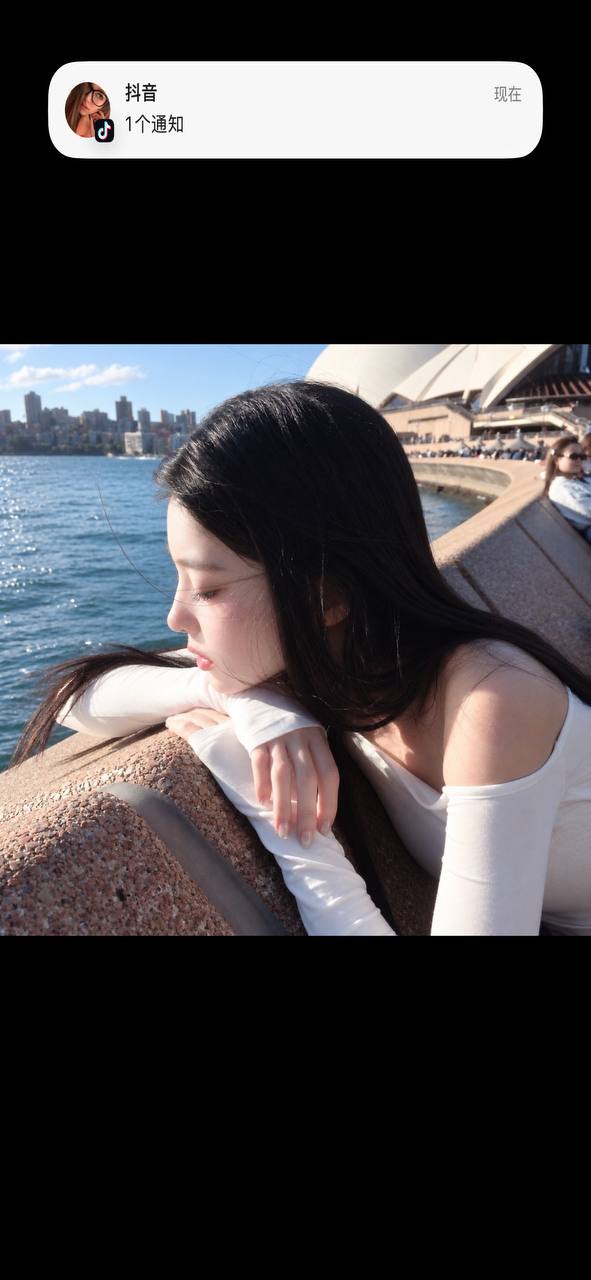 zselistop's profile banner image