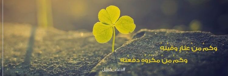 haider88_m's profile banner image