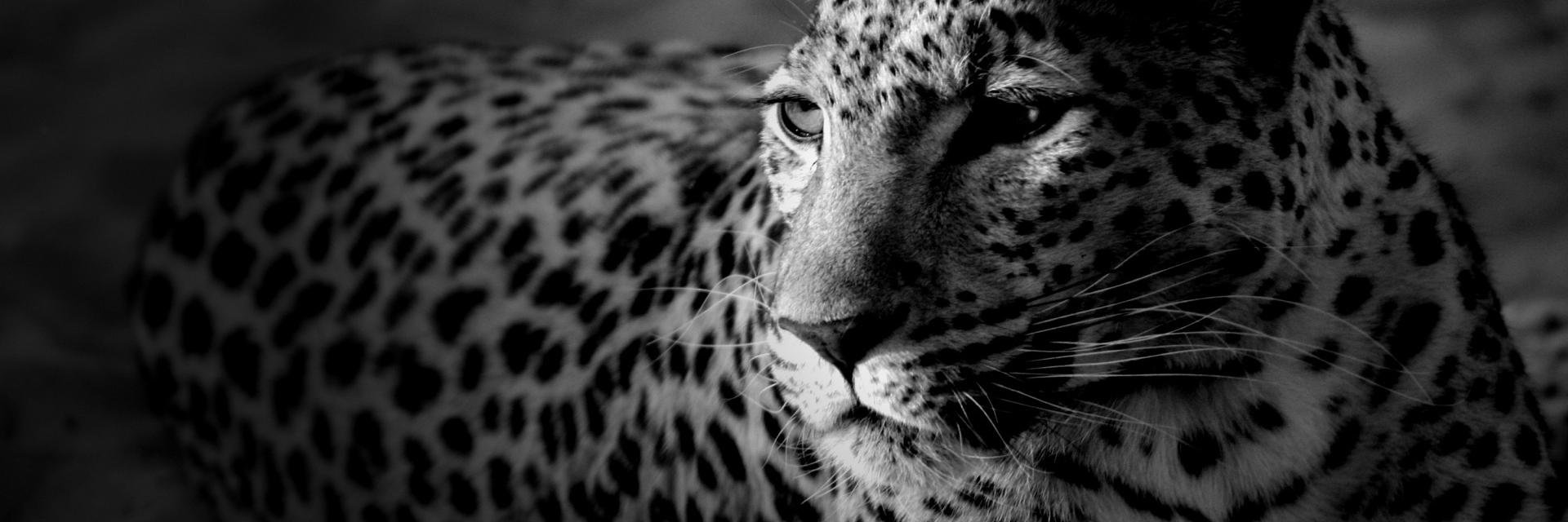 juanchoC31's profile banner image