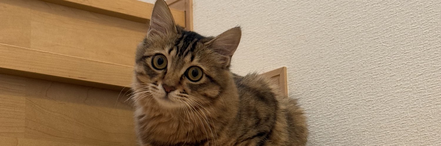 mio_ham_ame's profile banner image