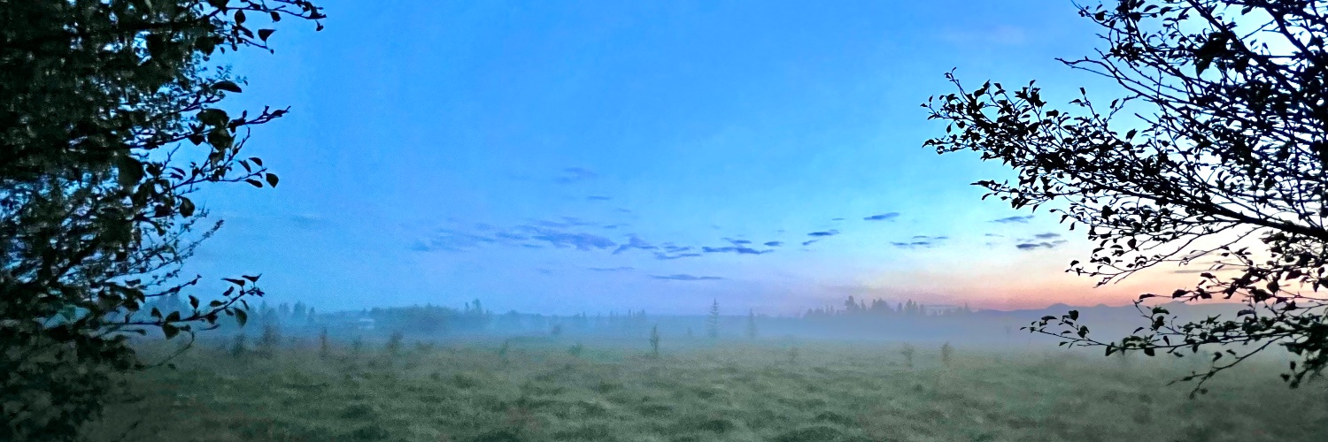 trawire's profile banner image