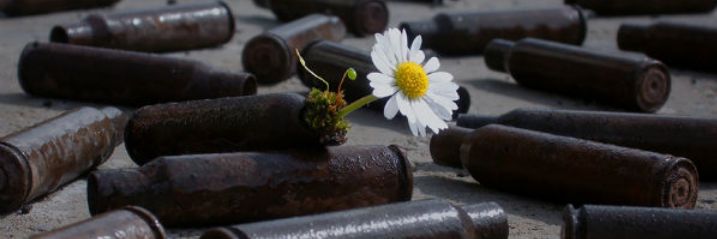 guclu_esref's profile banner image