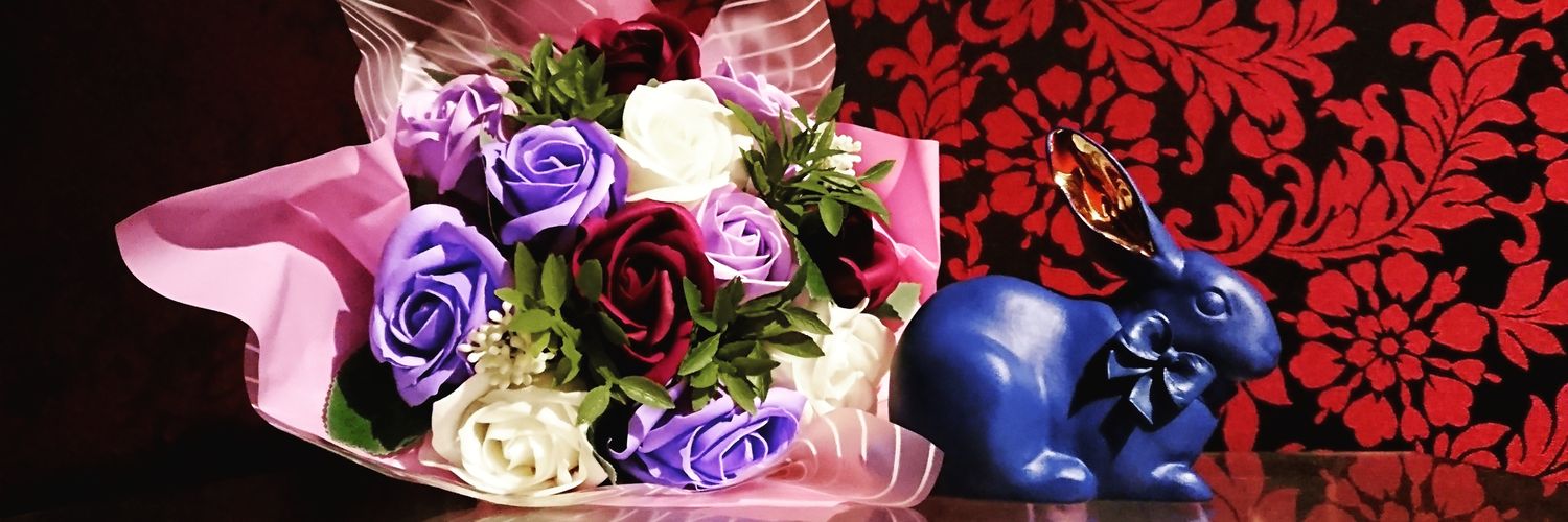 usagi_candy's profile banner image