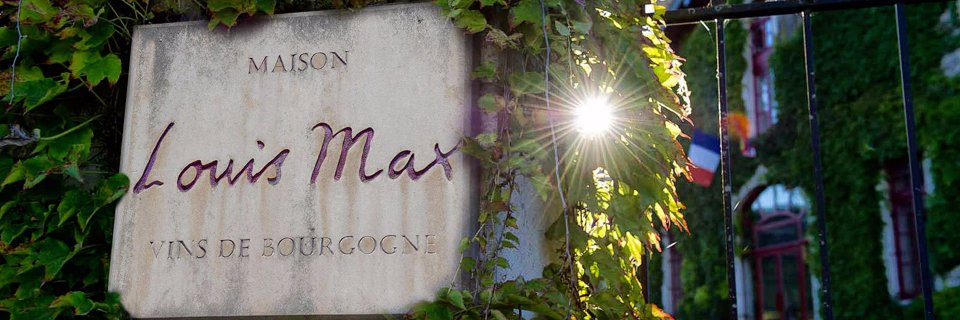 MaisonLouisMax's profile banner image