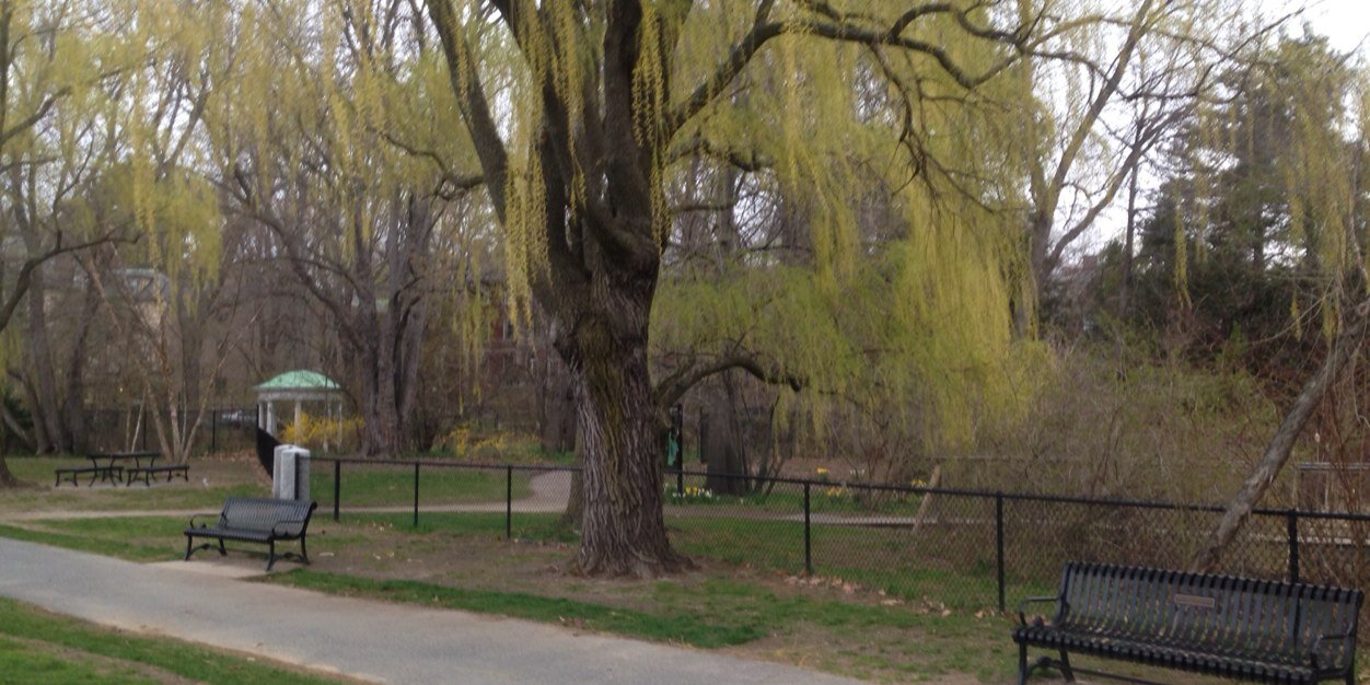 P1 Brookline Fans banner