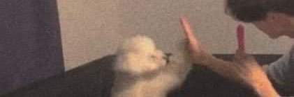 pernado12's profile banner image