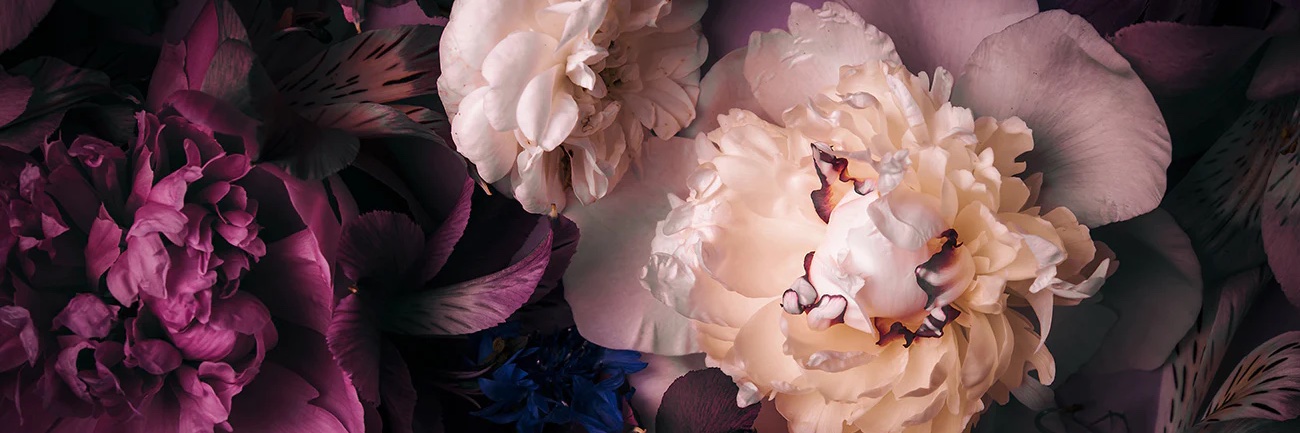 CassieRowan's profile banner image