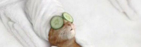 Nikiolilalala's profile banner image