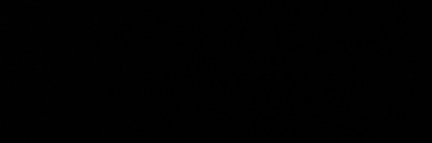 lena_tj's profile banner image