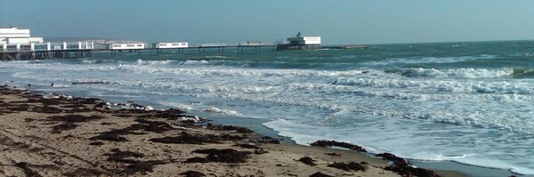 WightpieMark Profile Banner