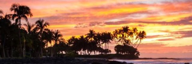 RahiiAnnaMaria's profile banner image