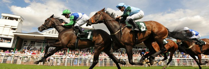 Catterick Racecourse's banner