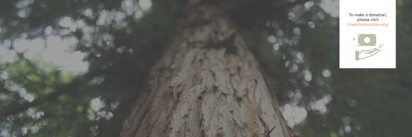 TreesForHouston Profile Banner