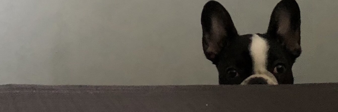 littelbigplanet's profile banner image