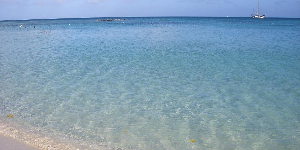 Suzanne Petrusch banner