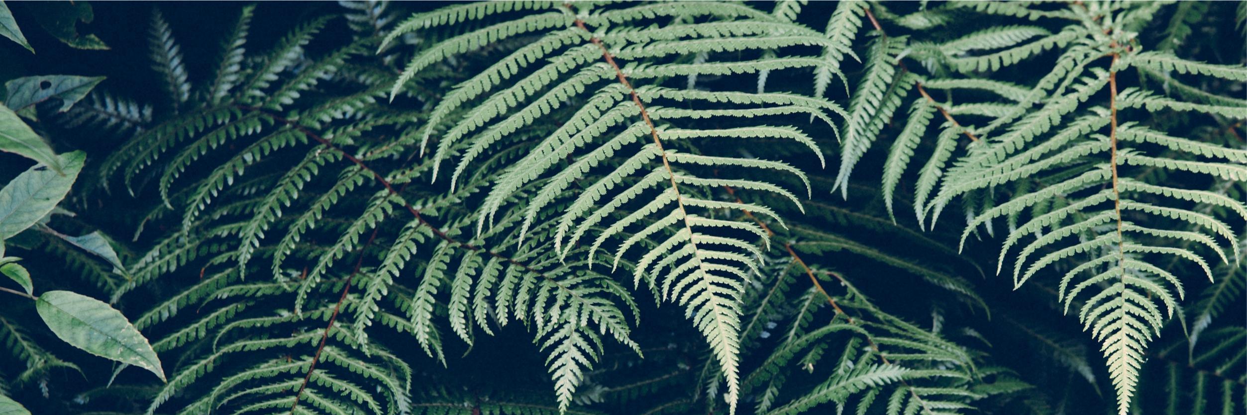 KelliBTI84's profile banner image